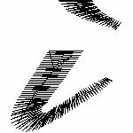 268