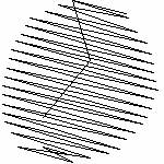 331