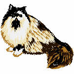 06
