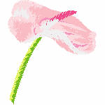 36