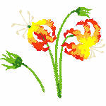 09