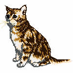 03