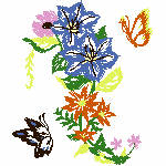 05