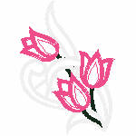 08