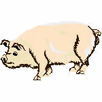 060