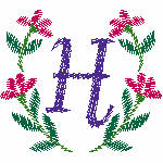51