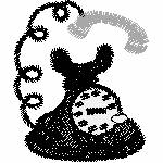 73