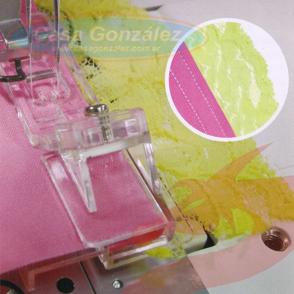 Puntilla
